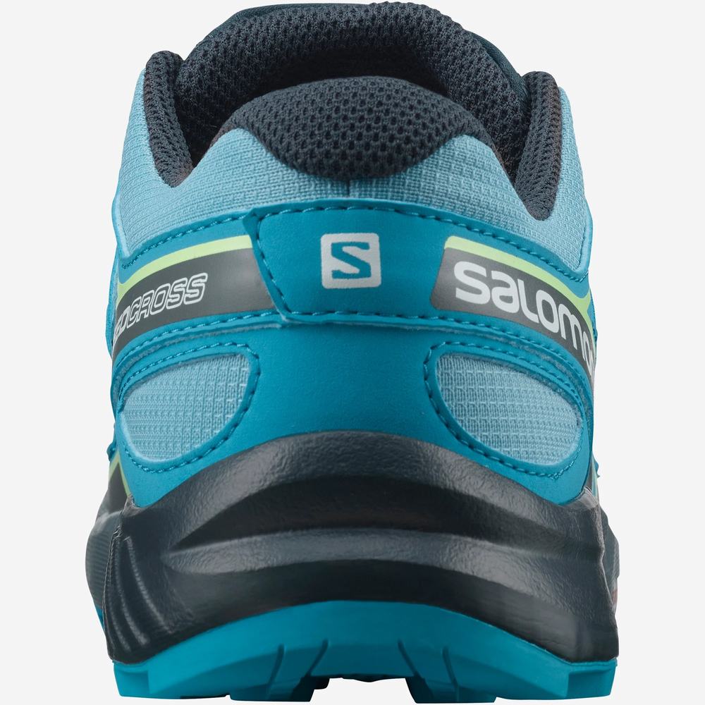 Botas montaña Salomon Xa Pro v8 Winter Cswp verde niños