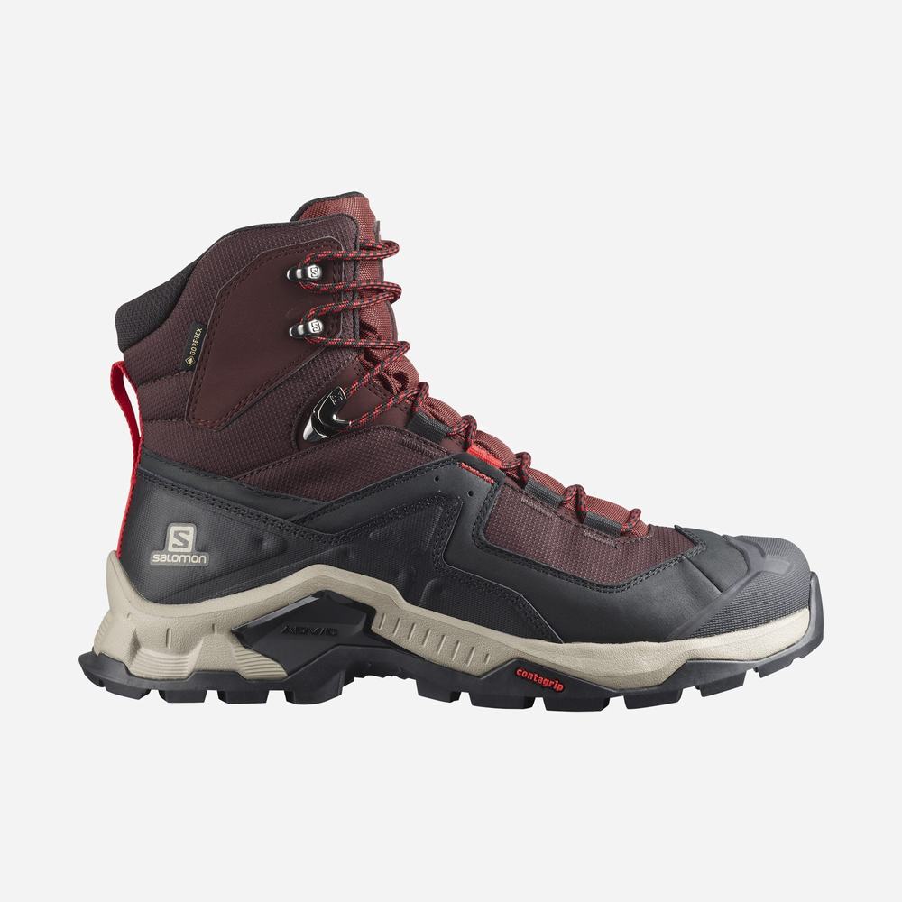 Salomon XA PRO GORE-TEX Moradas Tiendas Ecuador - Salomon Outlet